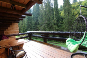 Bungalow in mauntains with chan near the forest, Slavs'ke